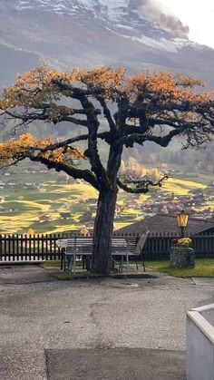 Imagem 6 de 10 de B26- Lotes Pra Casa De Campo!