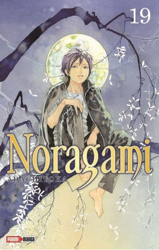 Noragami 19 - Panini Argentina - Adachitoka - Manga