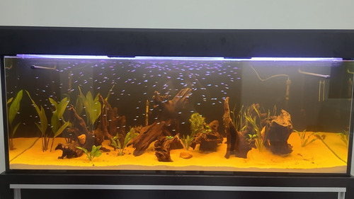 Kit 04 Led Aquário Jumbo 120cm C/ Fonte Sem Suporte