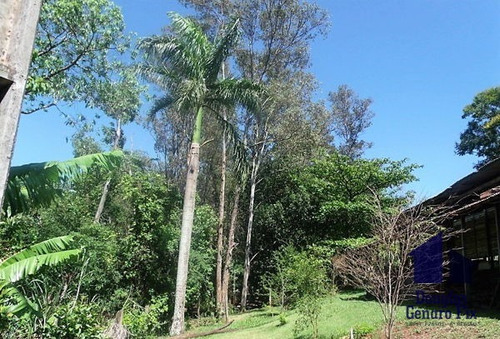 Imagem 4 de 16 de Rural Chacara - 669235-v