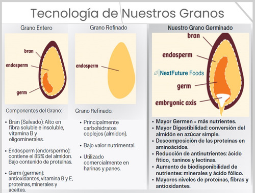 Harina De Cebada Germinada 1kg: Iq00 - Nextfuture Foods