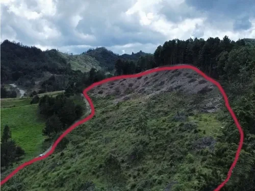 Lote En Venta El Retiro Vereda El Chuscal Via Don Diego-la Ceja