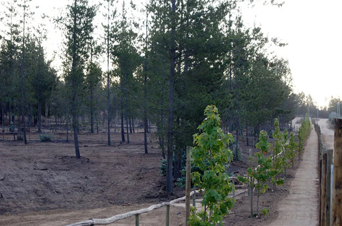 Parcela En Venta En Algarrobo