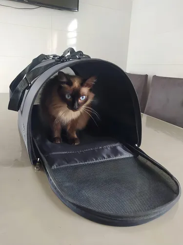Bolsa flexible para mascotas de 30 x 30 x 47 cm, negra, 8 kg