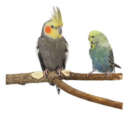 Parrots Perches Stand Bird Play Gimnasio Juguete Periquitos