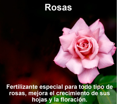 Fertilizante Especial Para Rosas Por 50 Gr (rinde 12,5 L)