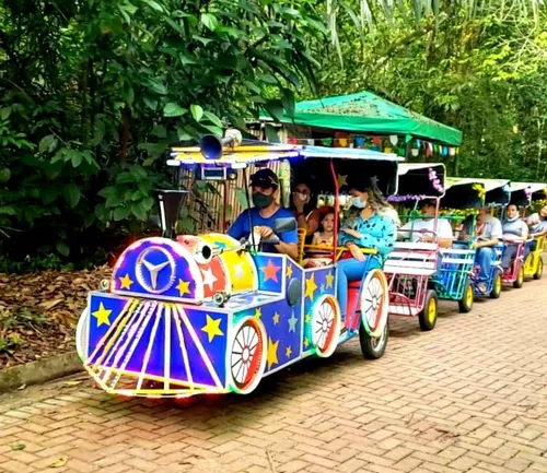 Carreta da Alegria Trenzinho TRIO TURBO