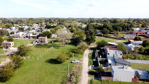 Lotes En Venta Calle 42 Y 149, San Carlos I Barrio Liquidámbar