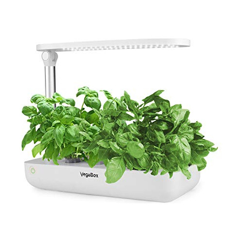Hydroponics Growing System - Jardín De Hierbas Interio...
