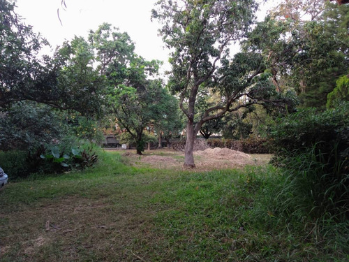 Imagen 10 de 17 de Terreno En Venta En Emiliano Zapata, Cuernavaca, Morelos