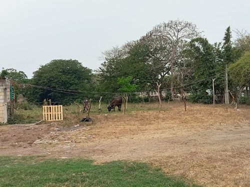 Terreno En Venta En Veracruz Ideal Para Inversión En Mata Cocuite Ver.