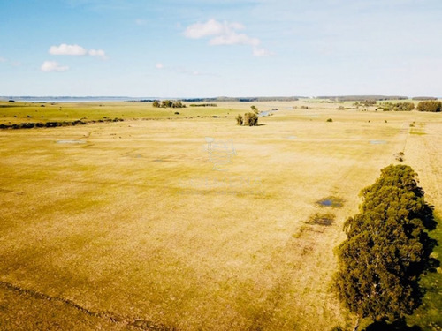 Imagen 5 de 13 de Campo De 20 Has Muy Cerca Del Faro Jose Ignacio - Consulte !!!!!! - Jose Ignacio