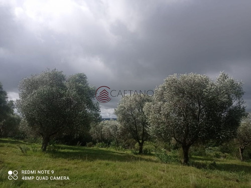 Imagen 16 de 25 de Venta De Campo, Maldonado.campo De 41 Hectáreas, Próximo A Pueblo Edén - Pueblo Eden