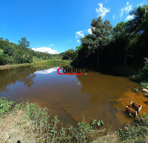 Imagem 1 de 13 de Vendo Chacara Terreno De  2600 M² Com Lago Em Ibiúna-sp - 520