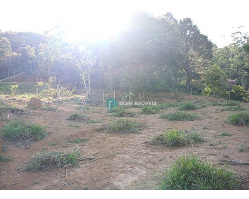 Imagem 6 de 10 de Terreno À Venda, 1000 M² Por R$ 250.000,00 - Nova Califórnia - Juiz De Fora/mg - Te0238