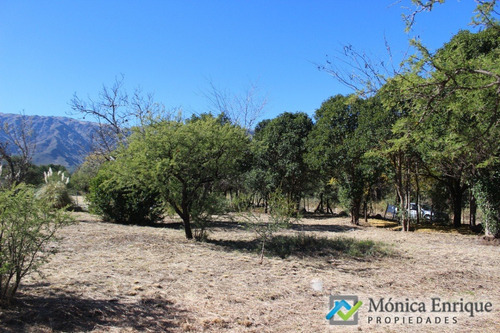Lote De 1500m2 En Cerro De Oro, Sobre Calle Cuesta De La Granadilla