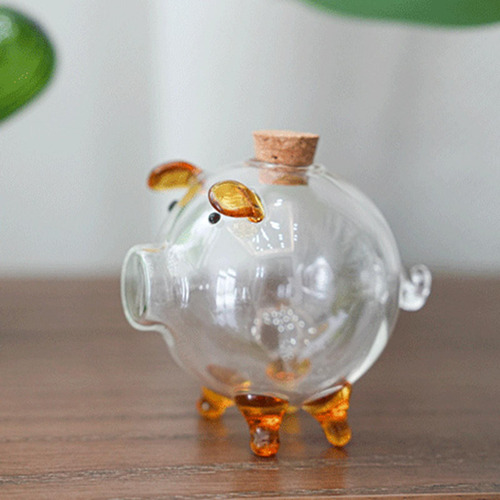 5 Hucha Transparente, Caja Para Ahorrar Dinero, Botella De