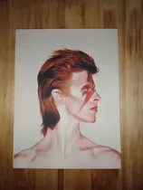 Comprar Bowie - David Bowie (ziggy Stardust) - Cuadro Musical Rock