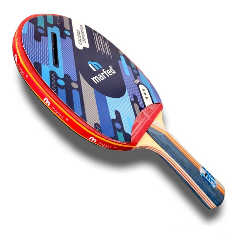 Paleta Ping Pong 3 Estrellas Profesional Tenis De Mesa 