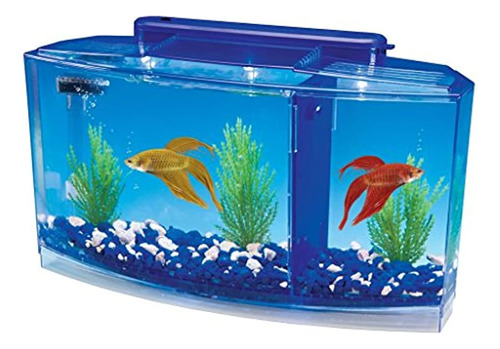 Tanque De Acuario Penn Plax Deluxe Triple Betta Bow, 0.7 Ga