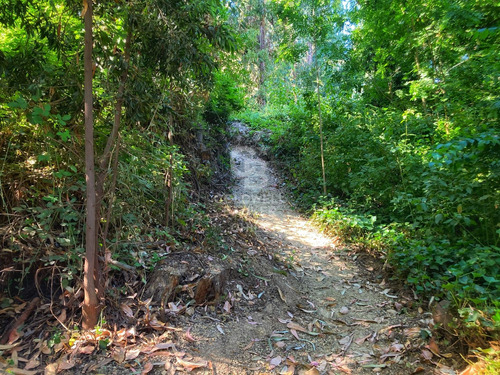 Terreno Con Casa / Lo Curro