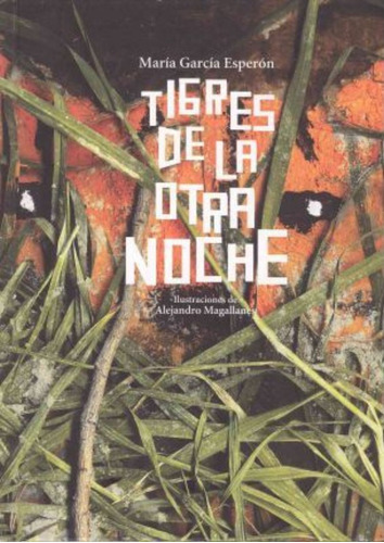 Tigres De La Otra Noche (premio Hispanoamericano De Poesia P