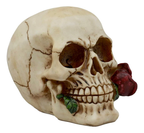 Calavera Gótica Decoración - Artesanías Cráneos Decorativos