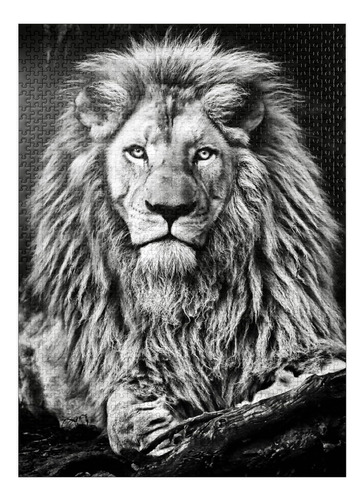 Imagen En Blanco Y Negro Del Majestuoso León - Rompecabezas 