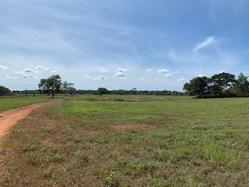 Imagen 8 de 23 de Venta De Finca Edo. Guarico, Pao Los Dos Caminos 1082 Hectáreas