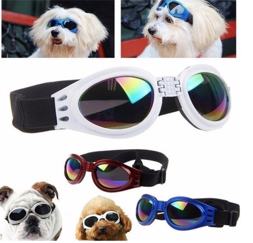 5 Gafas Perros Proteccion Uv Envio Gratis