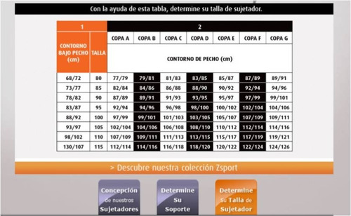 Sostén Sujetador Brasier Deportivo Zbra Evolution Zsport 32b