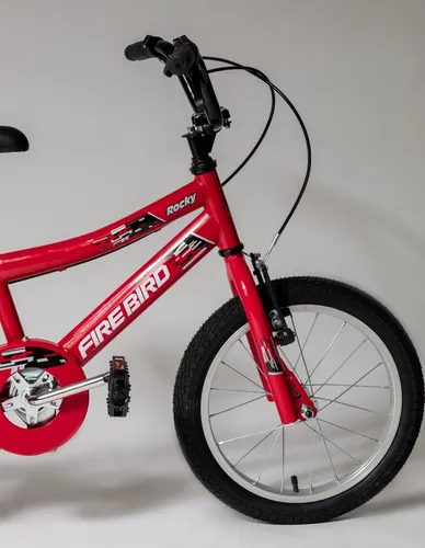 Bicicleta Fire Bird Varon Niños R16 4-6 Años. En Gravedad X