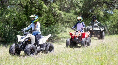 Imagem 2 de 5 de Quadriciclo Can-am Ds 90cc 2022 - Pronta Entrega Em Até 60x