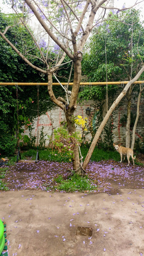 Ph Tipo Caserón Al Frente 335m² - 2 Plantas