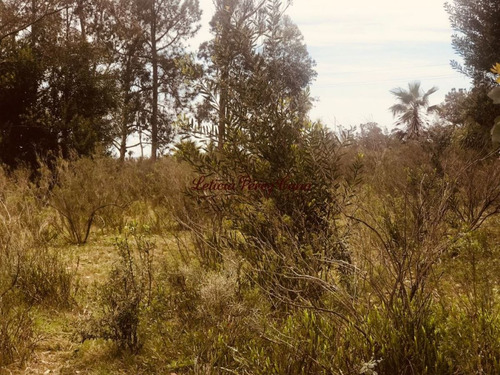 Imagen 15 de 21 de Chacra En Venta En Manantiales Ruta 104, 30 Has