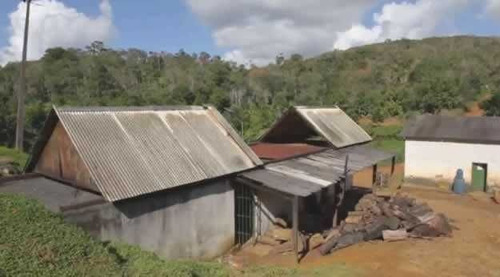 Imagem 7 de 30 de Fazenda De Cacau, Látex E Mogno No Brasil - Cidade Ituberá-ba - 7654