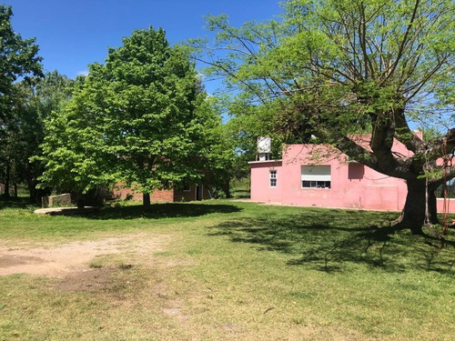Venta Chacra Con Casa 2 Dormitorios Conchillas. Colonia