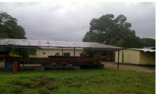 Imagen 13 de 14 de Finca En Venta En Edo. Barinas, Arismendi