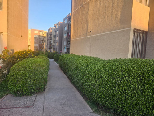 Arriendo Dpto Comuna Del Bosque