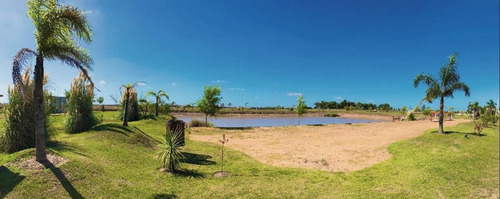 Imagen 4 de 19 de Lote En La Enriqueta