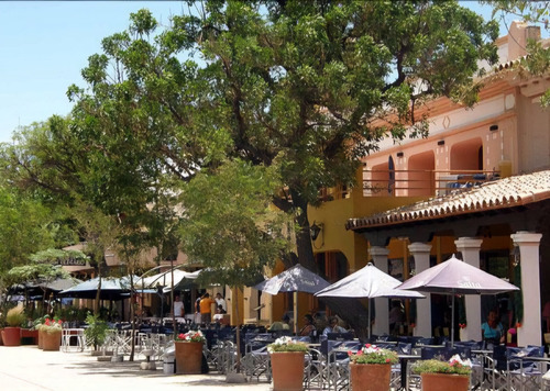 Lotes En Cafayate - Salta