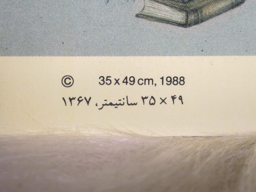 Reproducción De Miniatura Persa De Mansur Hosseini
