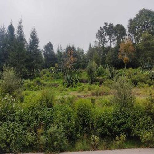 Excelente Terreno En Sta. Rosalia , Mineral Del Monte