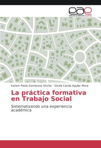 La Practica Formativa En Trabajo Social: Sistematizando Una
