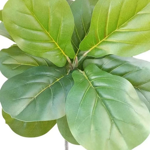 Ficus Artificial Planta Alta Interiores Con Maceta 74 Cm