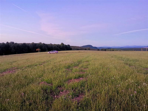 Parcelas Camino A San Fabián De Alico, Rol Propio, 5000m2