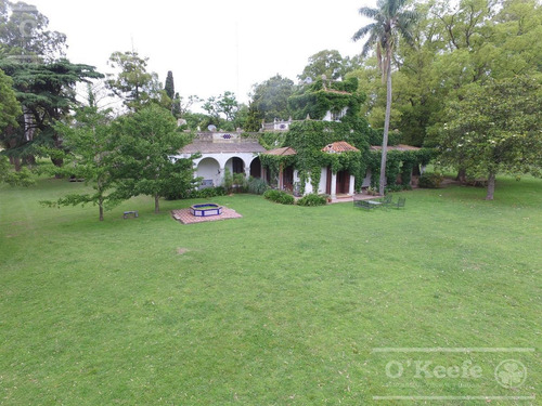 Imagen 2 de 12 de 900 Has Mixtas En Venta En Chascomus - Estancia Histórica Con Laguna. Ideal Turismo O Privado Rural