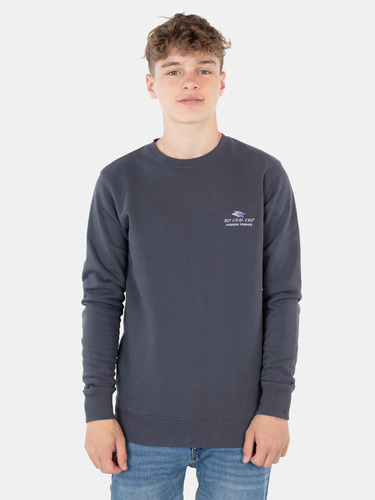 Poleron Padang Padang Crew Neck Gris Infantil Rip Curl