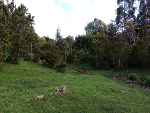 Hermosa Parcela Con Servidumbre Privada Al Lago Llanquihue