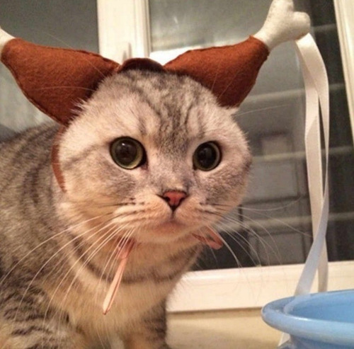 Disfraz Mascota Perro Gato Cintillo Pierna Pollo Asado